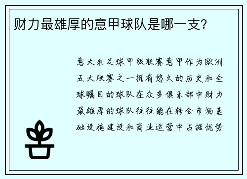 财力最雄厚的意甲球队是哪一支？