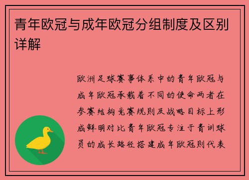 青年欧冠与成年欧冠分组制度及区别详解